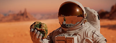 Grid Asset & System Platform